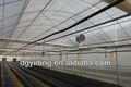 8m. De pl&aacute;stico econ&oacute;mica t&uacute;nel de efecto invernadero vegtable para uso agr&iacute;cola.