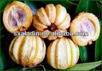 Show the real effects and how great Premium Natural Garcinia Cambogia worked in you