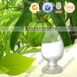 Organic garcinia cambogia extract powder/ Pure Garcinia Cambogia 50% Extract HPLC/ Garcinia Combogia