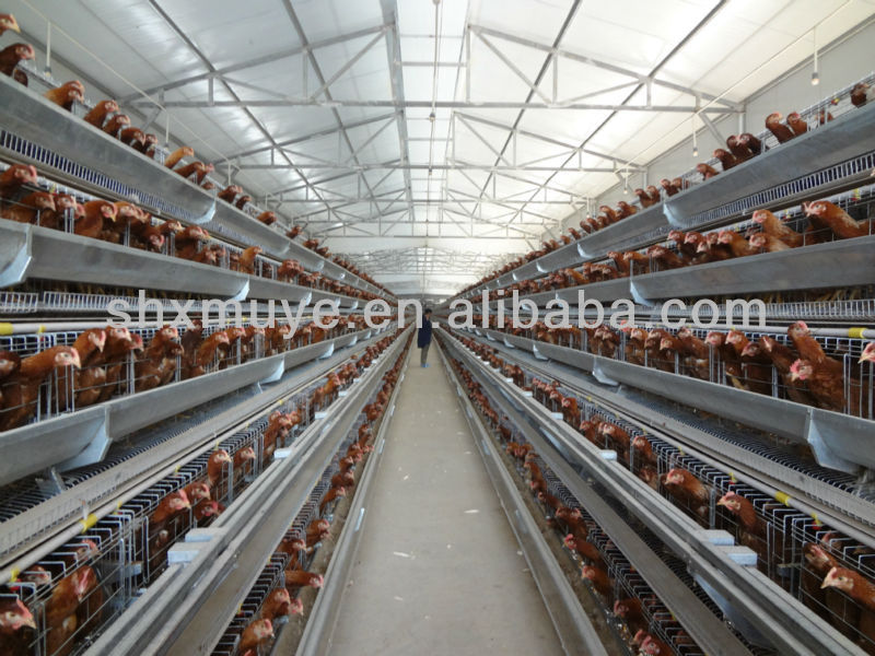 Chicken shed restaurant iowa, chicken coop laying area, the best floor