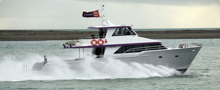 20.00 Meter Catamaran Fishing Boat, View aluminum catamaran fishing 