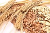 wheat