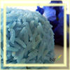Thailand High Quality Dried Herbal Healthy Butterfly Pea Coated Thai Jasmine Rice