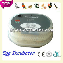 Wholesale ostrich incubator egg - Online Buy Best ostrich incubator 
