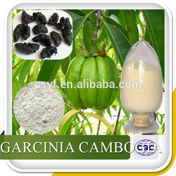 Best Price For Garcinia Cambogia Weight Loss - Platinumasi