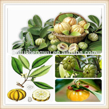 Garcinia Cambogia Fruit Powder Extract Highest Rated