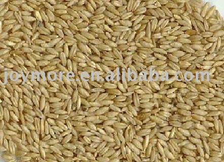 Oat ( Oats ) Avena Sativa P.E. 10:1 products, buy Oat ( Oats ... Oat ( Oats ) Avena Sativa P.E. 10:1 products, buy Oat ( Oats ...