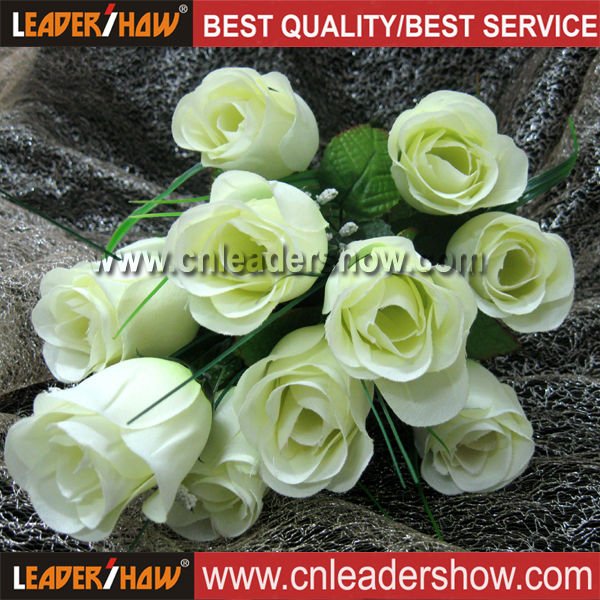 white rose flowers. Hot Beige amp; White Rose