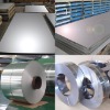 steel plate in coils price