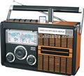 Sono ft-5139us/fm/sw1-2 4 bande radio usb con/slot sd