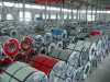 GI hot dipped galvanized steel coil