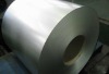 Galvanized Steel Coil/Sheet