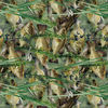 Water Transfer Printing Films Water Transfer Printing Films