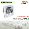 40 watt fluorescent fixture