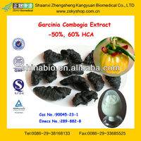 Garcinia Cambogia Extract Manufacturers, Garcinia Cambogia Extract