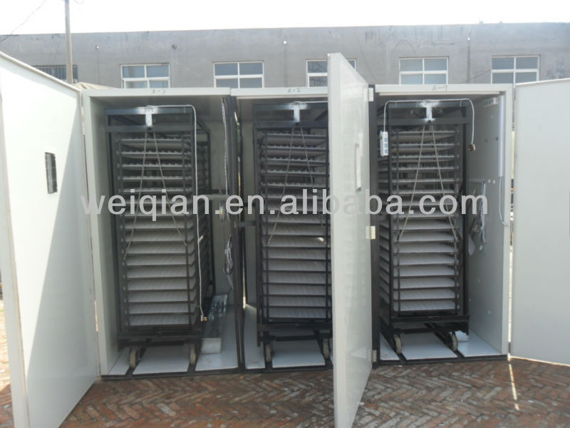 best selling chicken farm/eggs incubator, View chicken farm, Weiqian 