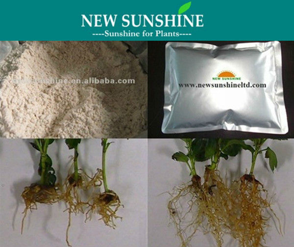 Rhizopon_IAA_for_Root_growth_hormone.jpg