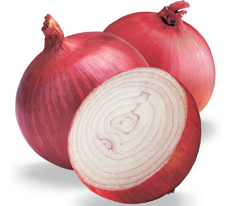 Promotional Hair Worms, Buy Hair Worms Pro