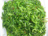 Sargassum Seaweed