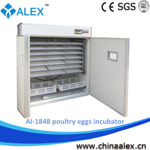 make chicken egg incubator for sale, View make chicken egg incubator 