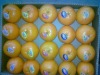 Fresh Mandarin Oranges Fresh Mandarin Oranges