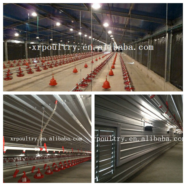 Different Types of Poultry Houses