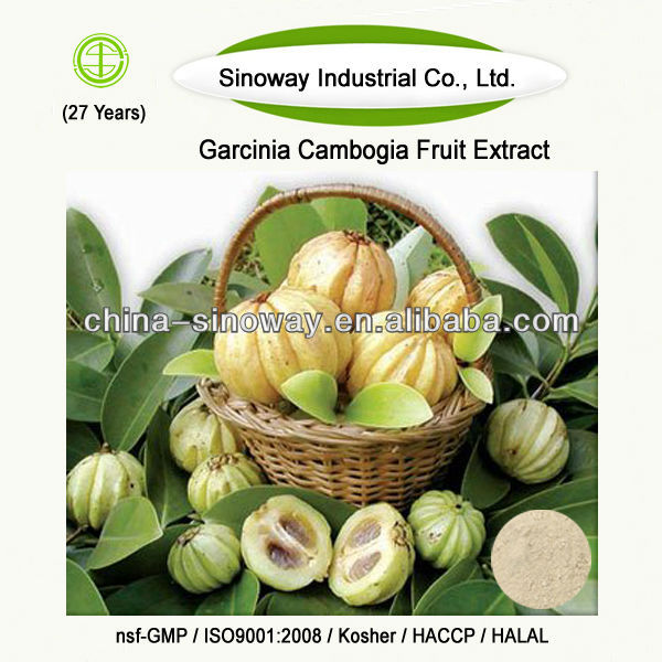 natural_garcinia_cambogia_extract_pure_garcinia_cambogia.jpg