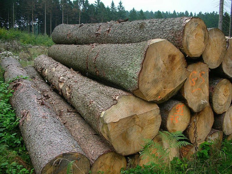 Logs Wood