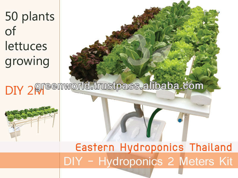 ... Product Categories &gt; DIY Hydroponics Kit &gt; DIY - Hydroponics Grow Kit