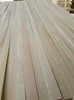 Japanese Cypress Wood