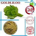 organic Natural Artichoke leaf extract with GMP standard