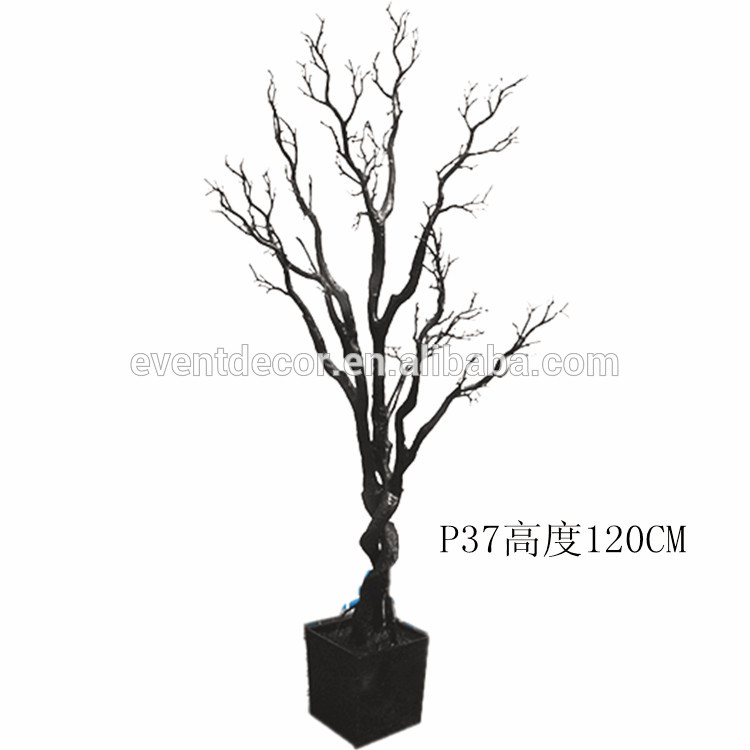 indoor tree branches 28 images indoor wedding tree for indoor tree branches 28 images indoor wedding tree for