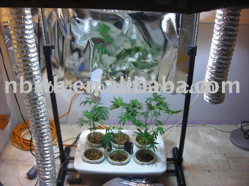 Hydroponic Systems Grow Tent For Indoor/outdoor,Best Plants - Buy ...