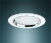 CFL Standard Downlight