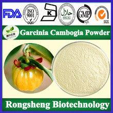Buy Pure Garcinia Cambogia Extract In The UK Here