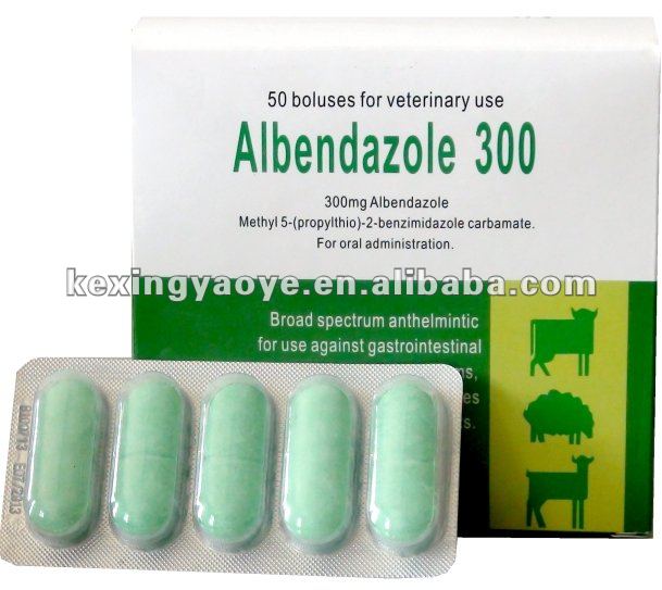 buy cenforce 50 mg