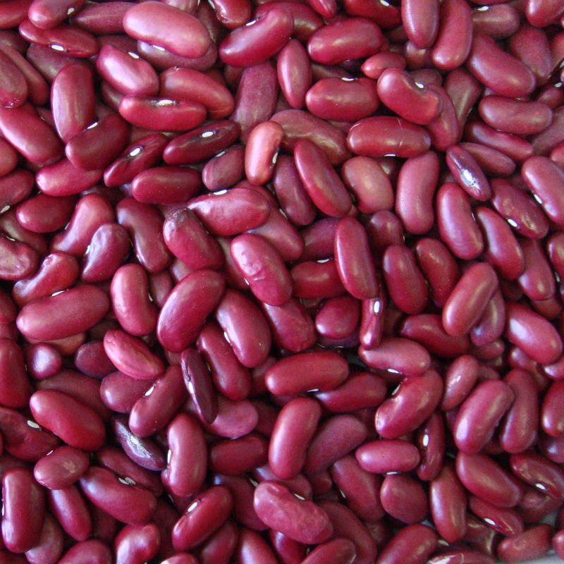 Kidney Beans