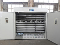 5000 Automatic Chicken Egg Incubator, 5000 Automatic Chicken Egg 