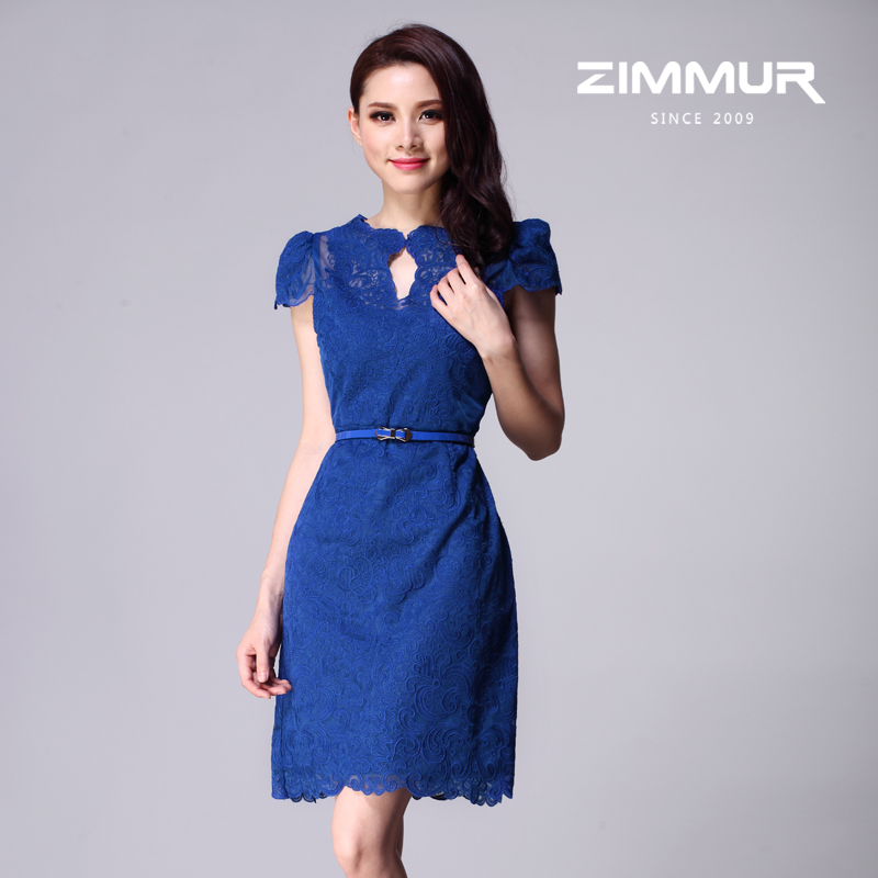 http://i00.i.aliimg.com/wsphoto/v0/1002250854/2013-summer-zimmur-elegant-gentlewomen-slim-dress-lady-fashion-clothing-office-lady-clothes-party-evening-dress.jpg