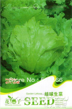 Mix order $5 150 Seeds Heirloom Healthy Organic Vegetable Garden Lettuce C050 free shipping,(China (Mainland))