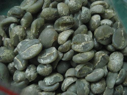 China Yunnan gongshan she green coffee bean special platce 10KG bag