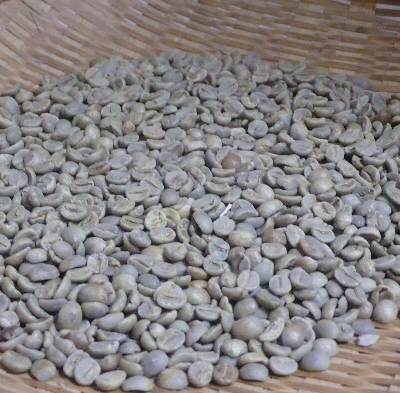 Free shipping Coffee beans top brazilian coffee beans fresh original 100g Lose Weight Tea