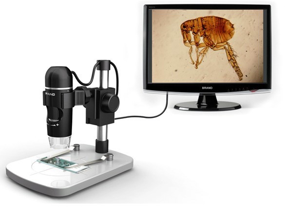 usb digital microscope 500x software download