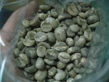 S S Cafe coffee green bean YunNan Arabica 100 S H B natured 25kg bag falvor