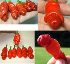 4-pcs-Peter-font-b-Pepper-b-font-font-b-Seeds-b-font-Pornographic-font-b.jpg_140x140.jpg