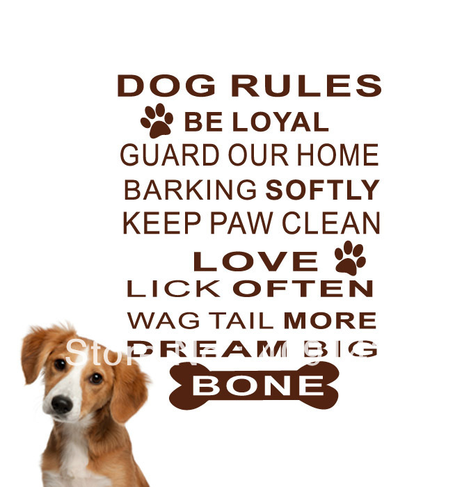 Ποιοι είναι οι κανόνες του σκύλου;