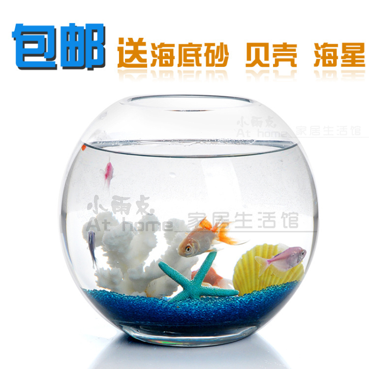hydroponics fish tank - Aquaponics