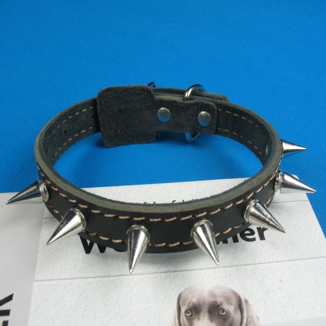 dog genuine leather price