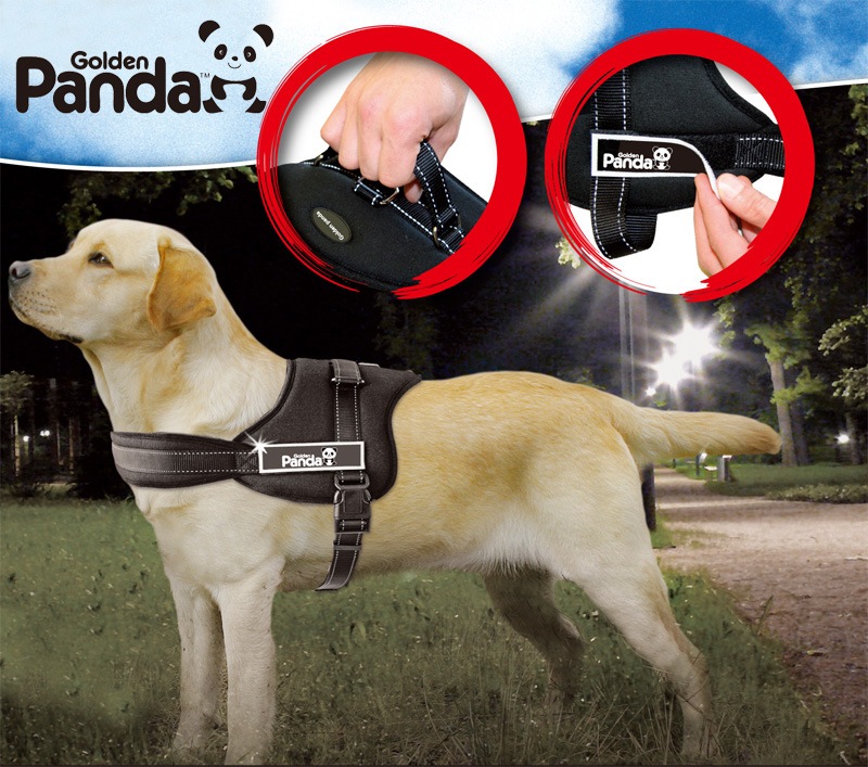 type: dogs        ; usage: collars & leads