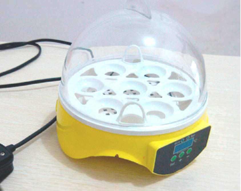 High Quality CE Approved Small Mini 7 Eggs Incubator Chicken goose 